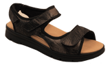 D1118_blsn.png