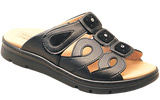 D1115_blac.png