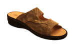 D1116_bgsn.png