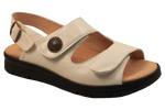 D1117_beig.png