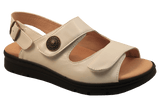 D1117_beig.png