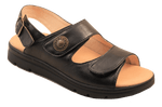 D1117_blac.png