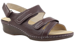 D1121_brow.png